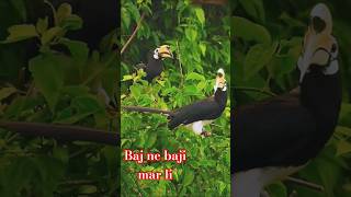 Kishan baswal khatik cute love funny youtube animals [upl. by Ursal]