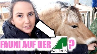 FAN TREFFEN AUF DER EQUITANA I PFERD AM SANDPLATZ LONGIEREN I STALL FMA VIDEO [upl. by Oznecniv102]