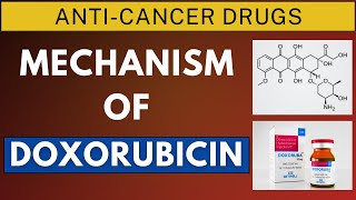 Mechanism of Doxorubicin amp Daunorubicin [upl. by Budwig]