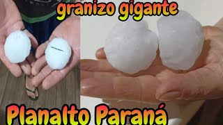 Temporal de granizo gigante Planalto Paraná hoje [upl. by Hooke]