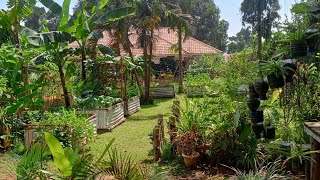 A Productive Small Urban Farm In Kampala City Uganda🇺🇬 [upl. by Monto619]