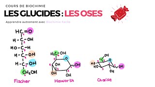 GLUCIDES  LES OSES 🍬 Biochimie Facile [upl. by Eked826]