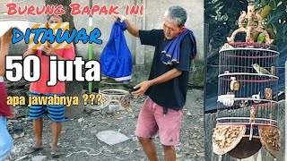 Pemenang lomba burung Kecial ditawar 50 Juta pemilik ogah jual [upl. by Darice]