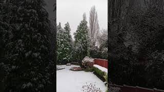 Snow Falling In Solihull  England snowman music trending viral [upl. by Hooke]