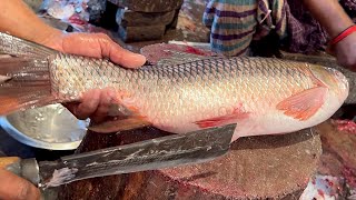 Excellent Cutting Skills  Big Rohu Fish Cutting By Expert Fish Cutter [upl. by Eikciv]