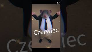 Ja szczurek w kąpieli 🫠😊🐭 [upl. by Aerda383]