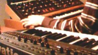 Moog Minimoog Solo [upl. by Pierce]