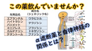 【薬の授業・血圧編】第２章～自律神経とα遮断薬の作用機序～ [upl. by Ecnaiva]