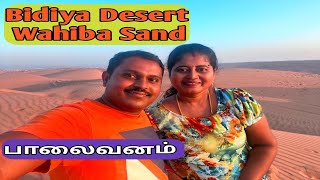 Bidiya Desert OmanWahiba sands Desert safari vlog oman bidiya wahibasand tourism ibra viral [upl. by Allicsirp]