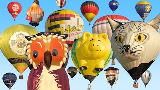 Hot Air Balloon Mass Ascent  Balloon Festival Barnstorf 2019 [upl. by Neemsaj]