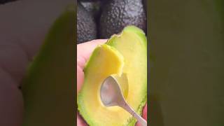 Satisfying fruit avocado shorts shortfeeds [upl. by Anailil404]