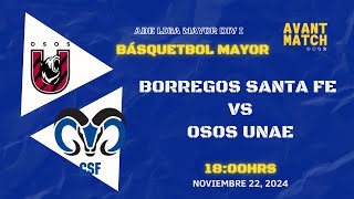 LIGA MAYOR ABE VARONIL DIV I EN VIVO 🔴  BORREGOS CSF VS OSOS UNAE  AVANT MATCH [upl. by Airdnola]