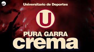 La Trinchera Norte  Oh Crema Vamos En vivo  Universitario de Deportes  Music MGP [upl. by Stuart636]