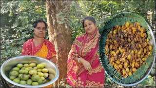 বাড়ির গাছ থেকে আমলকি পেড়ে বানালাম দারুন স্বাদের আচার  Amlokir tak jhal achar [upl. by Eiznil]