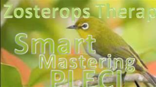 ZOSTEROPS THERAPY amp SMART MASTERING [upl. by Nesnar]