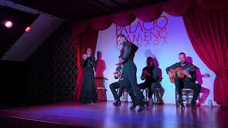 Palacio Flamenco Granada [upl. by Aelak148]