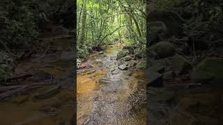 Creek nature hikking asmr 4knature naturehike natureza trailrun waterfall [upl. by Nnayllek]