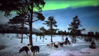 Aurora Borealis Kiruna in Swedish Lapland [upl. by Lewiss]