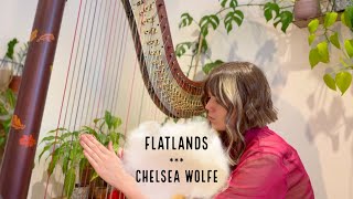 Flatlands  Chelsea Wolfe Harp Cover [upl. by Wilmott]