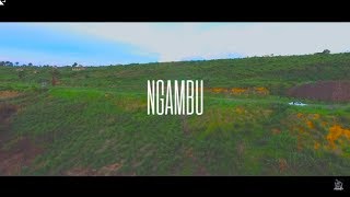 Robinio Mundibu  Ngambu Official Video [upl. by Aenet801]