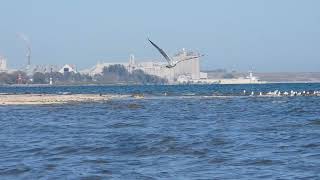 91824 GL OstranderIntegrity coming into Alpena Michigan into the Holcim dock [upl. by Rasmussen]