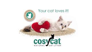 Cosycat clumping litter [upl. by Eceeryt]