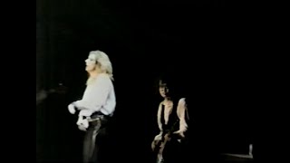 David CoverdaleJimmy Page  Shake My Tree  Improved Sound Live in Osaka Japan 1993 [upl. by Eenert393]