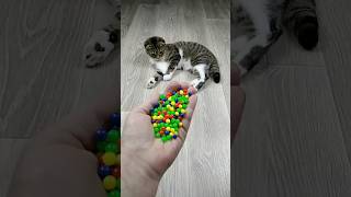 😺 Reverse Video 📿 Slow Motion 🐌 marbledhanda [upl. by Whitnell]