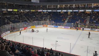 Erie Otters defender Matthew Schaefer goal against the Niagara IceDogs [upl. by Irac]