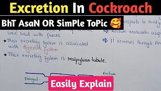 Excretion In Cockroach 🪳  Malpighian Tubules  Class 12 Biology [upl. by Aleibarg]