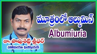 Albumin in Urine Treatment in Telugu l మూత్రంలో అల్బుమిన్ l Homeopathy l Dr Pavushetty Sreedhar [upl. by Notreve]