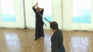 Ogawa Ryu TessenJutsu  Training Moments [upl. by Anders]