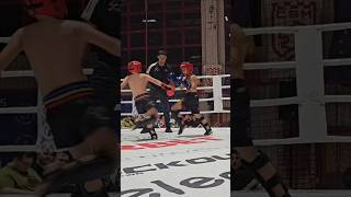 Low kick nr1 best sports kickboxing fighter [upl. by Ecikram]