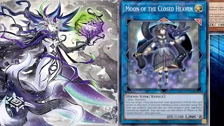 White Woods Meta Relevance Closed Heaven Confirmed INFO Format [upl. by Sadoc]