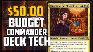 Marchesa the Black Rose  EDH Budget Deck Tech 50  Magic The Gathering [upl. by Aimehs709]