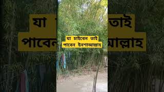 মনের আশা পূরণ হওয়ার দোয়া ✨💝দোয়াকবুলেরদোয়া shortsvideo quran surah [upl. by Notgnillew]