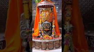 Mahakal Darsan 🙏🔥mahakal shivshankar shortsfeed [upl. by Bunting]