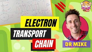 Electron Transport Chain  Made Easy [upl. by Esyli]