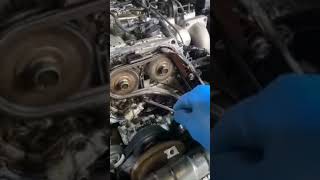 timing chain problemhowto set timing chain [upl. by Dadinirt63]