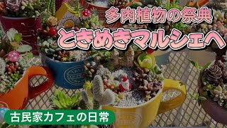 群馬県民広場で多肉植物の祭典「ときめきマルシェ」開催／紅葉を見ながら行って来ました♪ [upl. by Llered]