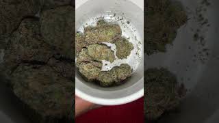 Lemon Cherry Gelato Review [upl. by Mclyman367]