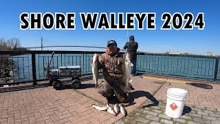 FIRST SHORE WALLEYE LIMIT OF 2024  DETROIT RIVER FISHING [upl. by Avik]