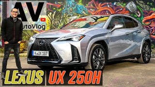 De nieuwe Lexus UX250h  Misschien wel de beste premium crossover [upl. by Nomal]