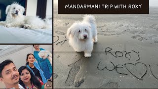 Our Dream Trip with Roxy  Trip to Mandarmani  Mandarmani Pet friendly Resort  Lifetime Memory [upl. by Kendall]