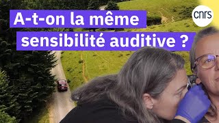 Laudition dans tous ses états  Reportage CNRS [upl. by Rajewski]