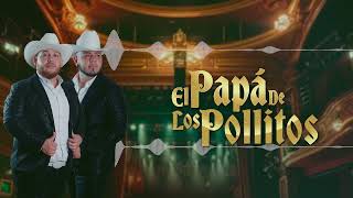 Grupo DLM  El Papá de los Pollitos Video Lyric [upl. by Ennaylil879]