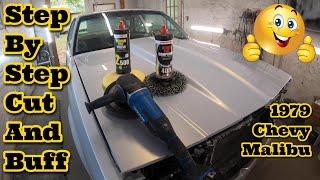 Cut And Buff A Car To Remove Orange Peel amp Trash From Your Paint Job RUPES DA POLISHER VS ROTARY [upl. by Lazarus]