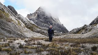 CARSTENSZ PYRAMID 4884 MDPL Gunung Jayawijaya TRAILER [upl. by Allimac923]