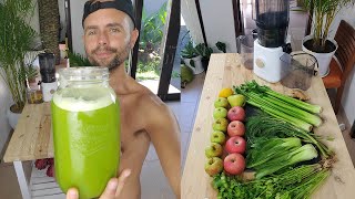 Best Beginner Juice Recipe amazing taste to Start Healing Now [upl. by Nollie]