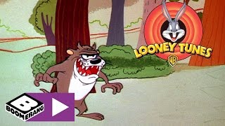 Looney Tunes  Il Diavolo della Tasmania  Boomerang [upl. by Patrizia499]